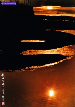 龍吐金珠 = The shadow of a dragon