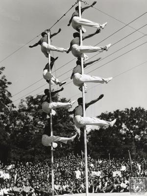 Acrobats on poles